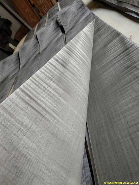 ������ӰľƤ