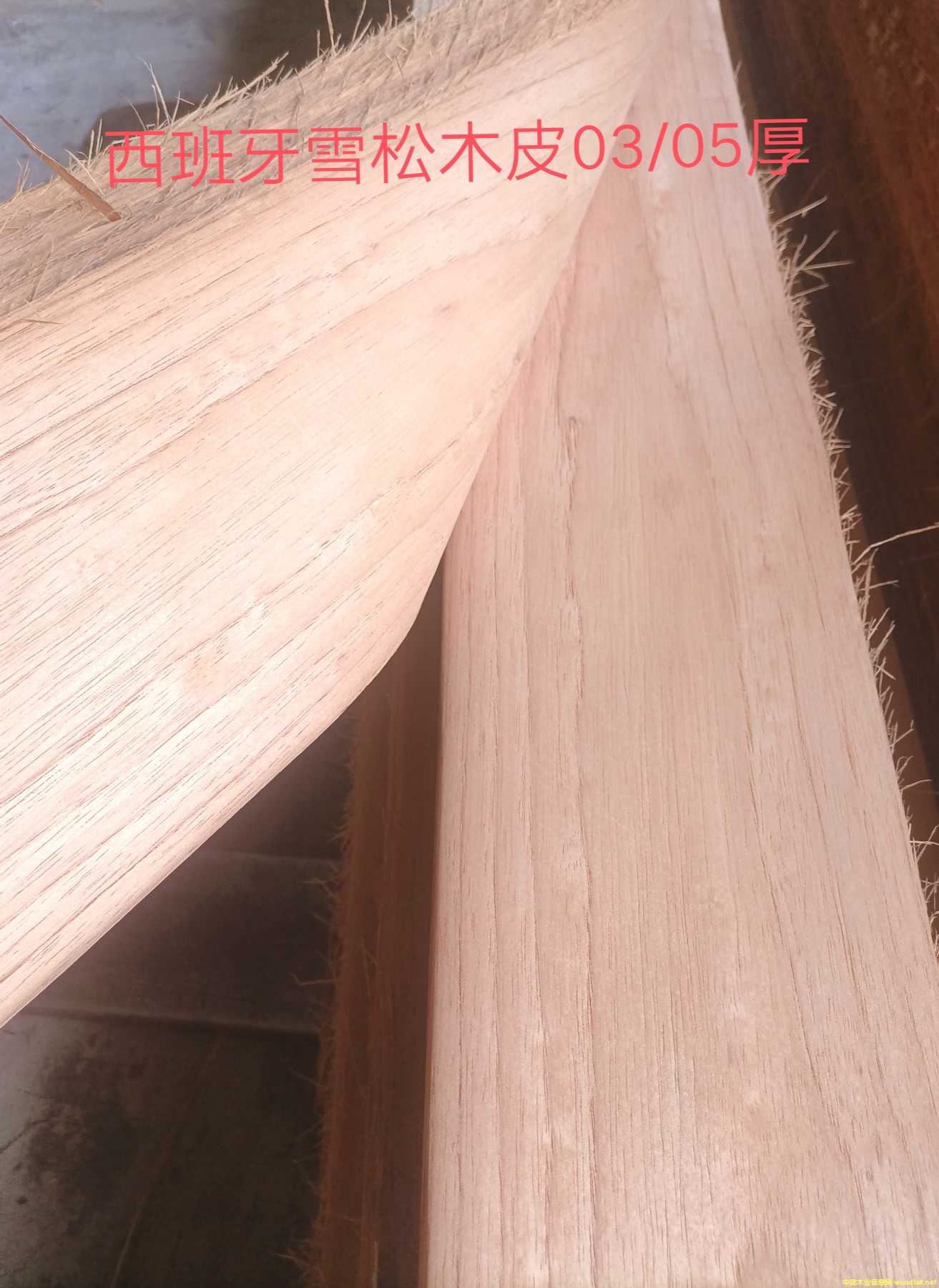 [��] ������ѩ��ľƤ