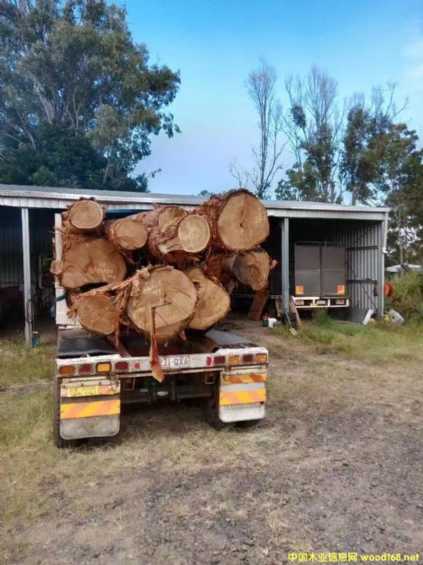 �����ڻ�ľ��Ԕ��(x��)��B