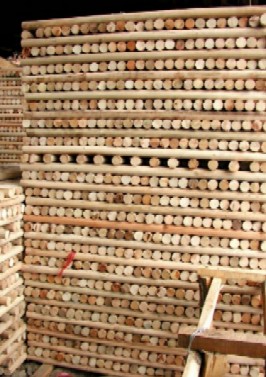 ľ����Ԕ��(x��)��B