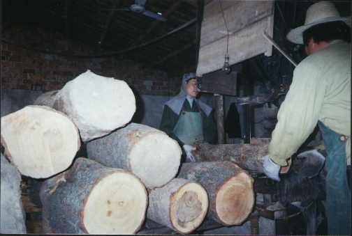 ��_��Ԕ����B