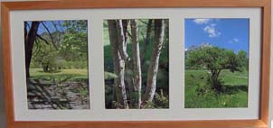 ����Ԕ��(x��)��B