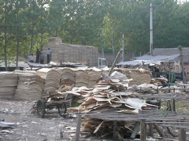 ��ľ�ΰ��Ԕ����B