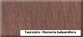 Tauroniro��Ԕ����B