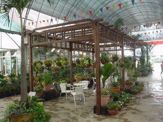 ���ȵ�Ԕ��(x��)��B