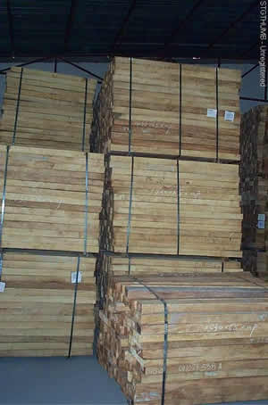 ����կ�M�����zľ��Ԕ��(x��)��B