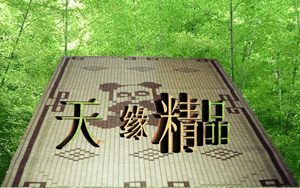 �쾉��Ʒ��Ԕ��(x��)��B