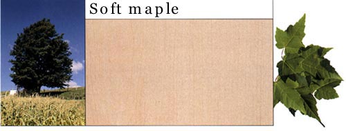 Soft Maple ܛ����Ԕ��(x��)��B