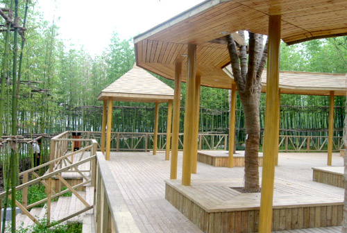 �P˼����m�������ľ��Ԕ��(x��)��B