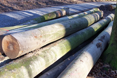 �W�ޙ�ľ��Ԕ����B