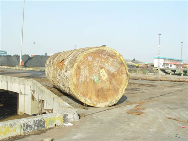 �ͻ���Ԕ��(x��)��B