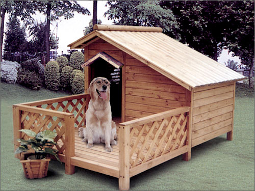 Ȯ�ᣨ����)����_(t��i) DOG HOUSE WITH BALC��Ԕ��(x��)��B