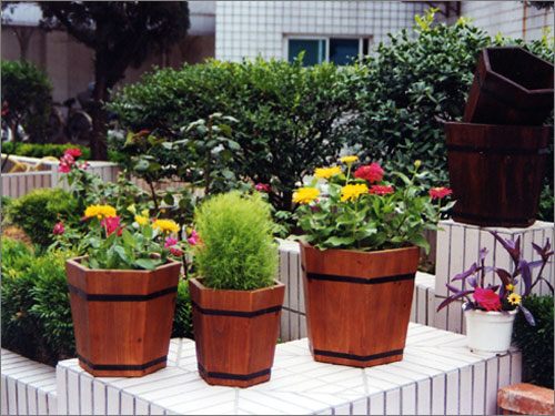 ���Ƿ�Ͱ HEXAGONAL FLOWER BUCKET��Ԕ��(x��)��B