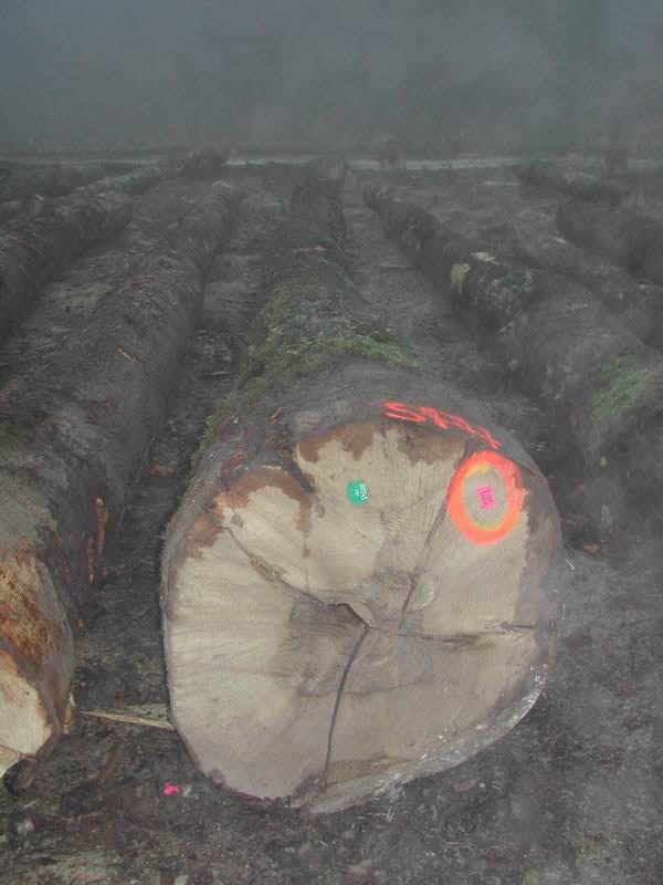 ����ľ��Ԕ��(x��)��B