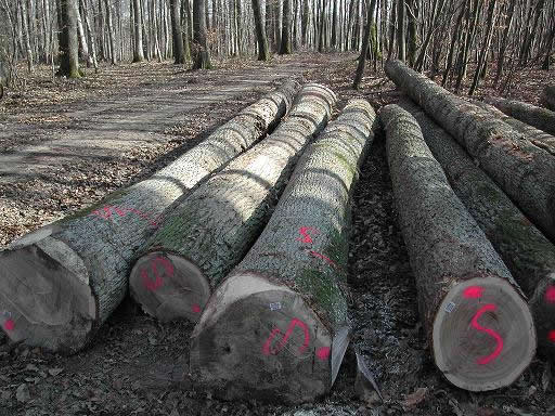 ����ľ��Ԕ��(x��)��B