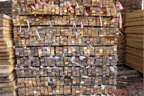 ����l��Ԕ��(x��)��B