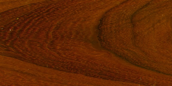 ����ľ�ģ�Ip�� ��ؐ��Ԕ��(x��)��B