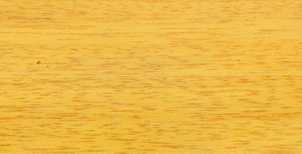 ����ľ�ģ�Ceiba��Ԕ��(x��)��B