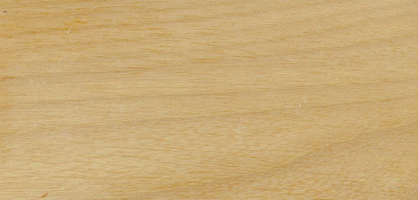 ����ľ�ģ�Tauari Rosa �հ����Ԕ��(x��)��B