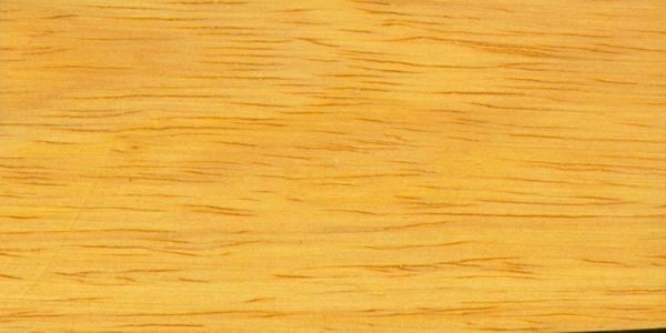 ����ľ�ģ�Paric����Ԕ��(x��)��B