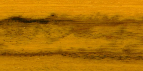 ����ľ�ģ�Sucupira Amarela��Ԕ��(x��)��B