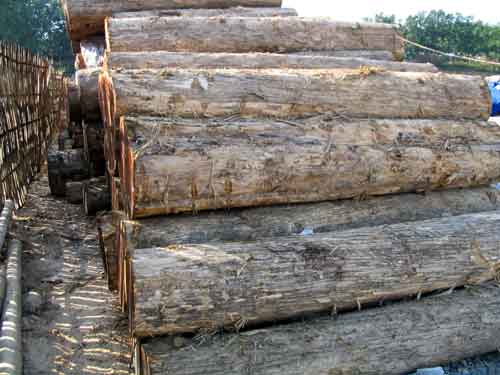 ��ľ��Ԕ����B