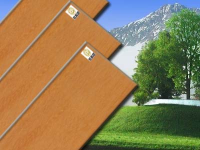 ��̴��Ԕ��(x��)��B