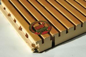 �������Ԕ��(x��)��B