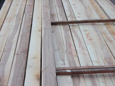 ���_˹��ľ���ɲĵ�Ԕ��(x��)��B